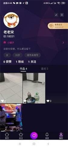宠物秀秀app