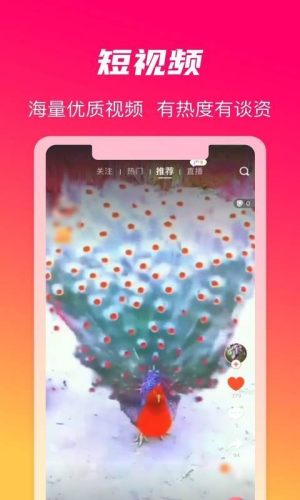 火晶星球手机版