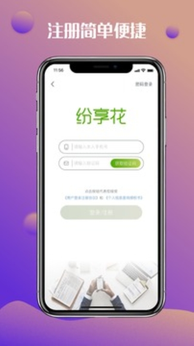 纷享花2024