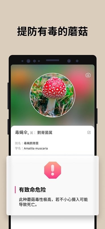 蘑菇识别2023  v2.8.13图2
