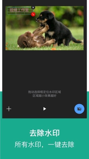 驴蛙视频全能王2024