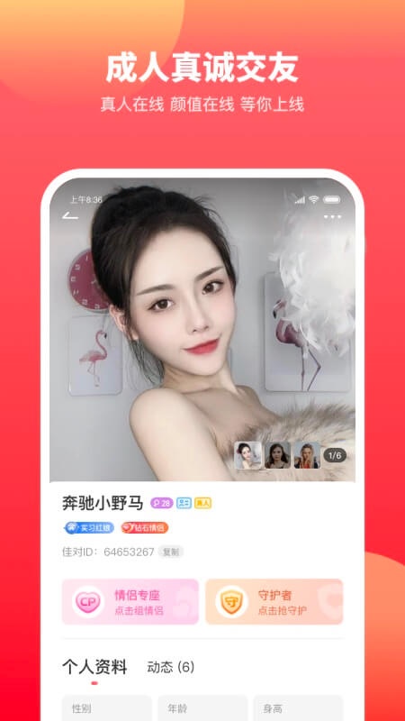 佳对相亲平台app下载