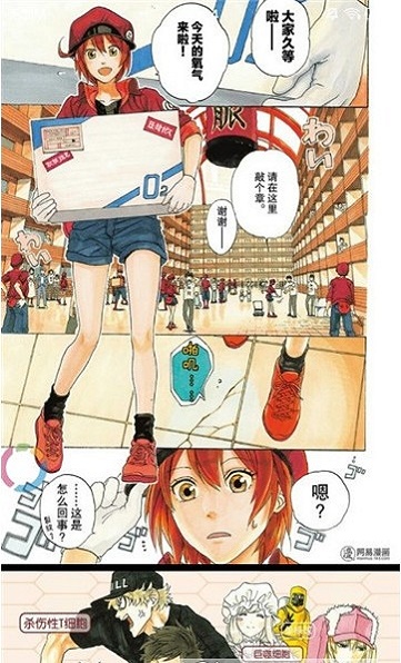 速速韩国漫画最新版