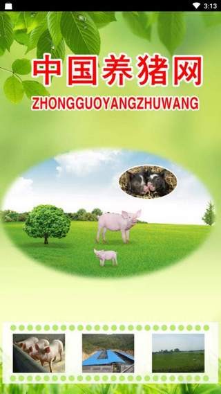 中国养猪网手机版  v10.0.1图1