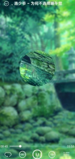 纯本地音乐播放器app
