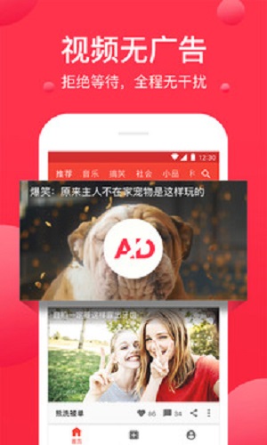 沉浮古玩虫电视剧免费版西瓜视频  v4.3.4图1