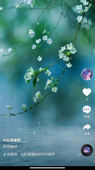 全民刷短剧app  v2.8.3图2