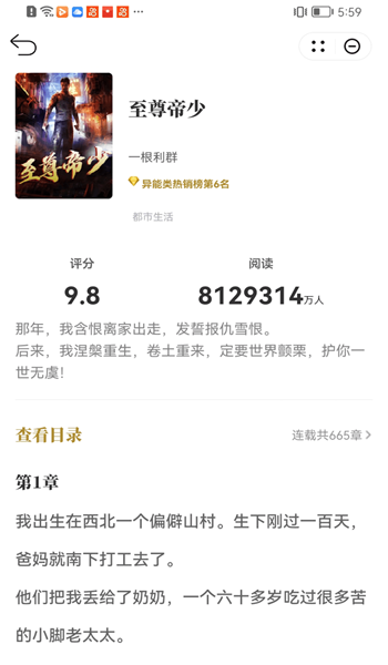 顽石小说reinhard百度网盘
