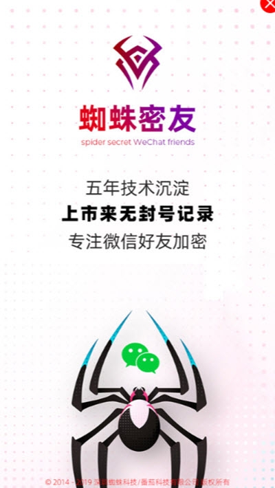 蜘蛛密友2024