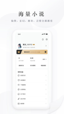 卧虎藏龙小说剧情