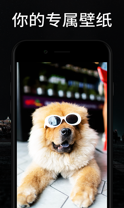 焕彩桌面ios