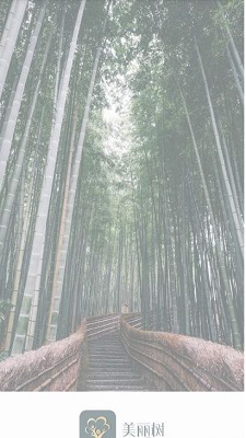 美丽树最新版  v2.3图3