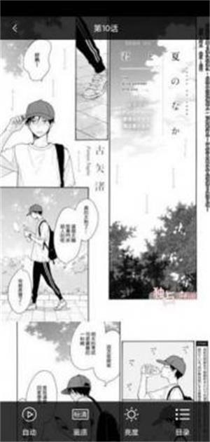 娇娇漫画安卓版在线观看