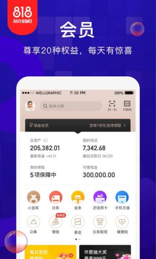 金东金融白条最新版