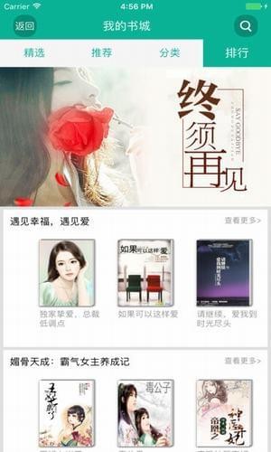 金枝在逃久久小说网下载
