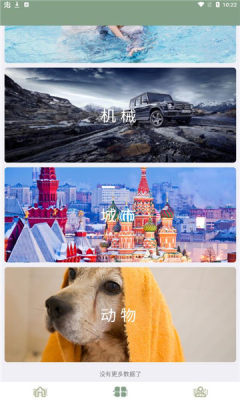 鹦鹉螺壁纸