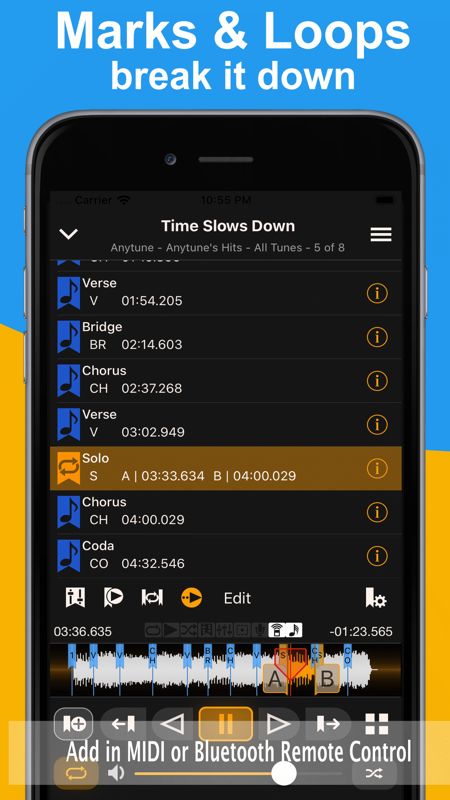 anytunepro安卓破解  v1.0.0图1