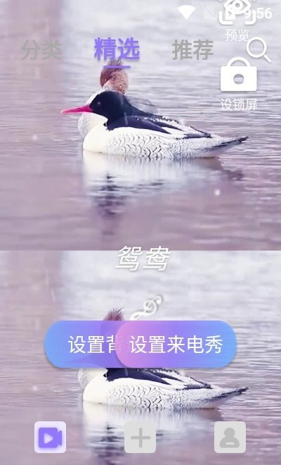视频铃声来电秀下载  v2.2.0图3