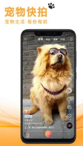 宠友社交最新版下载安卓版安装包