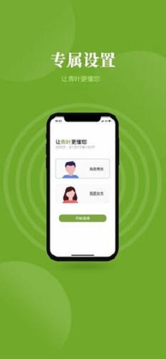 青叶小说手机版