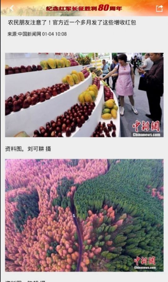 东北新闻网新闻中心