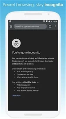 Kiwi Browser手机版  v1.0图1