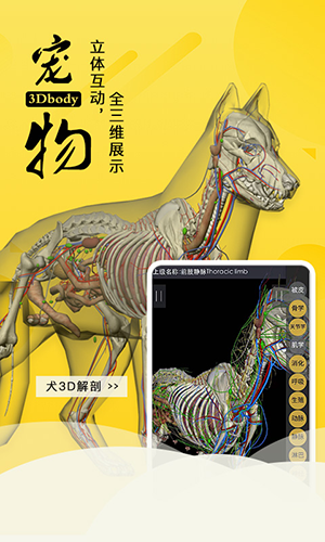 3dbody宠物破解版苹果手机版