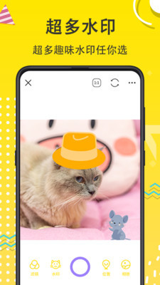 宠物相机安卓版下载苹果版软件  v3.6.5图3