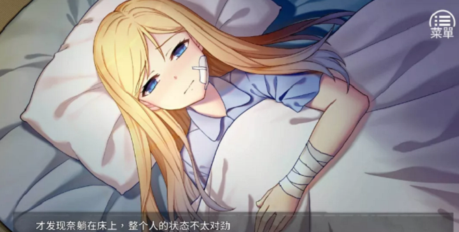 奈的调教日记手机版