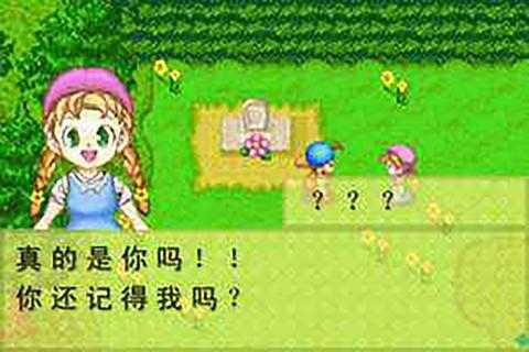 牧场物语mr.d