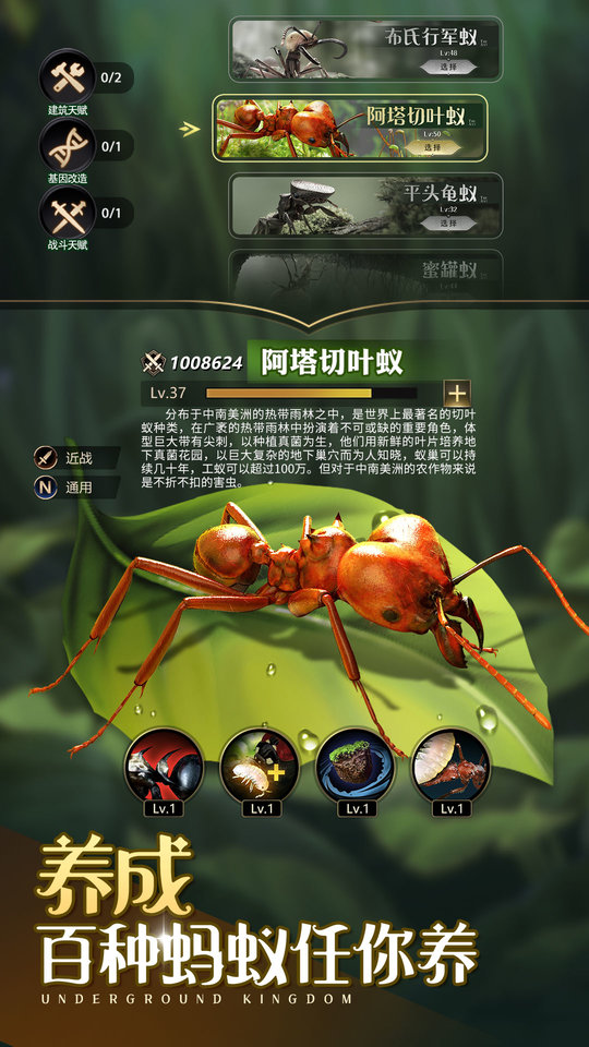 小小蚁国372023