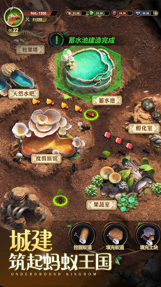 小小蚁国372023  v1.49.0图3