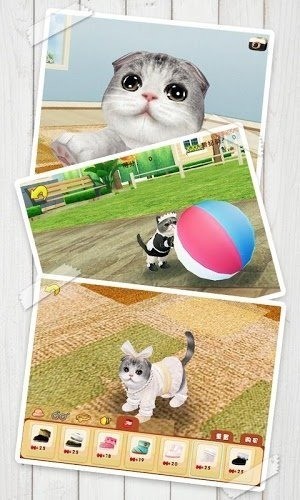 心动小猫  v1.36.2图3