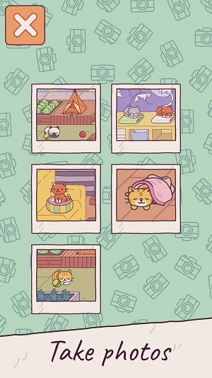 猫之家2024