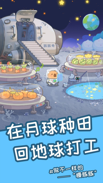 慢豚豚的生活  v1.0.5图1