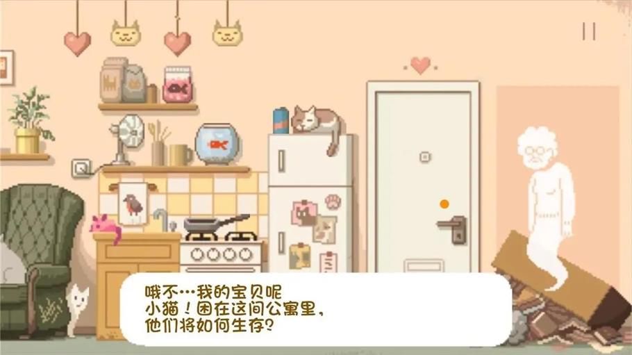 大城小猫2024