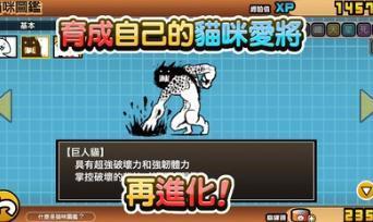 猫咪大战争9999999罐头版可扭蛋中文版